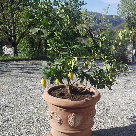 Casina Di Vicchio Apartamento Dicomano Exterior foto