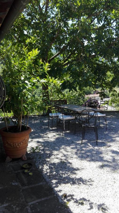 Casina Di Vicchio Apartamento Dicomano Exterior foto