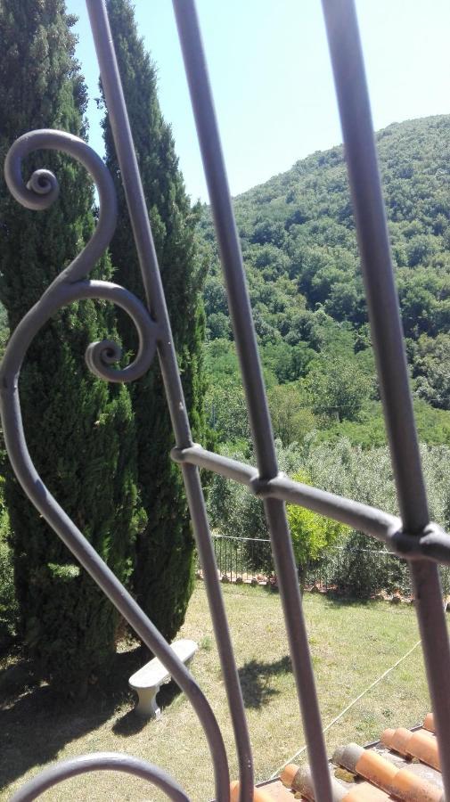 Casina Di Vicchio Apartamento Dicomano Exterior foto
