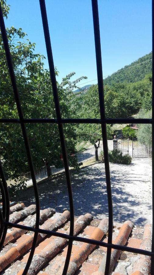 Casina Di Vicchio Apartamento Dicomano Exterior foto