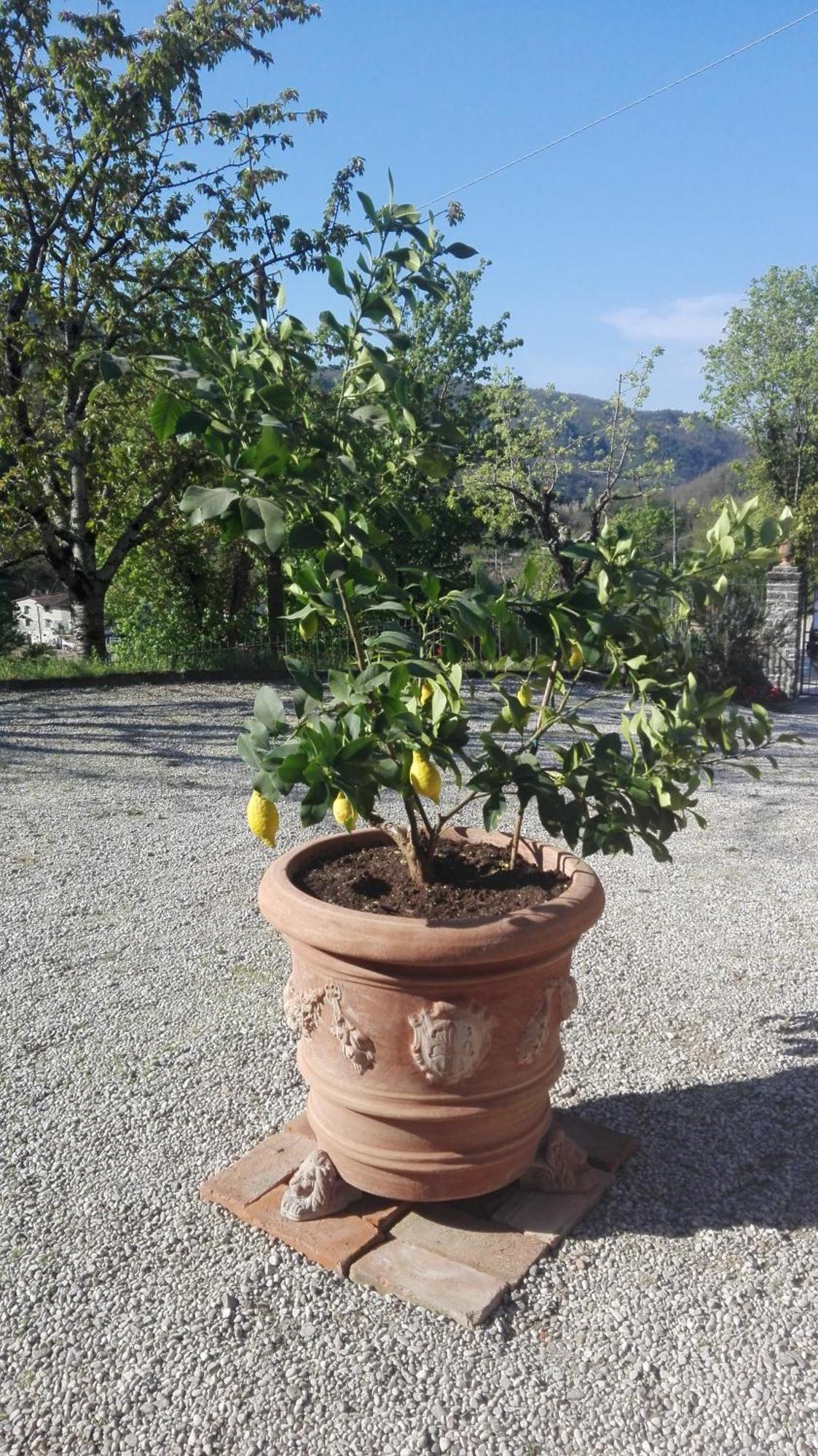 Casina Di Vicchio Apartamento Dicomano Exterior foto