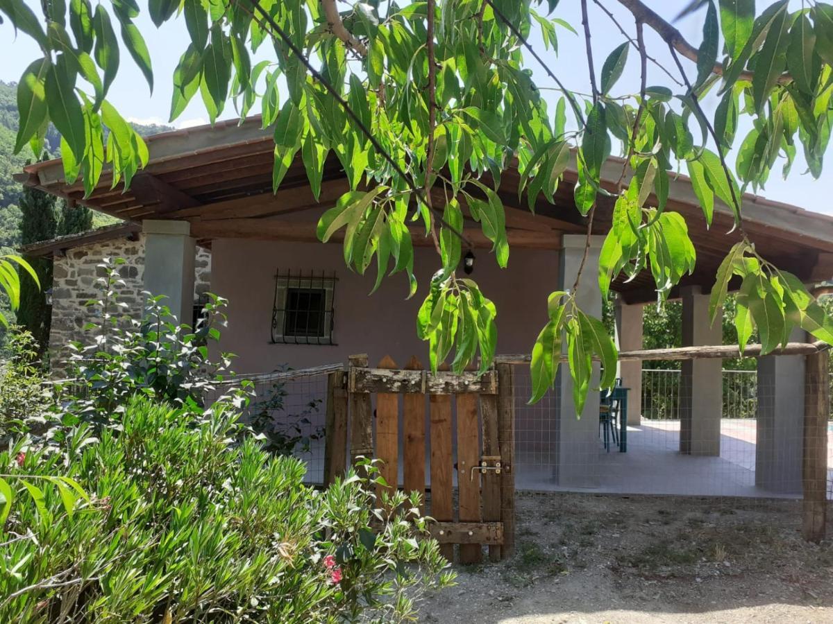 Casina Di Vicchio Apartamento Dicomano Exterior foto