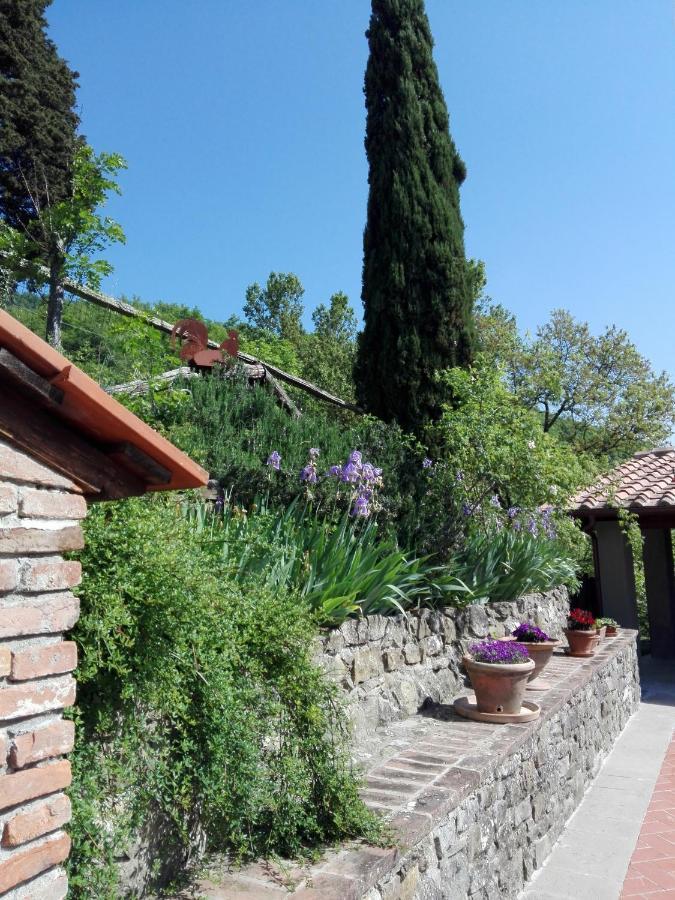 Casina Di Vicchio Apartamento Dicomano Exterior foto